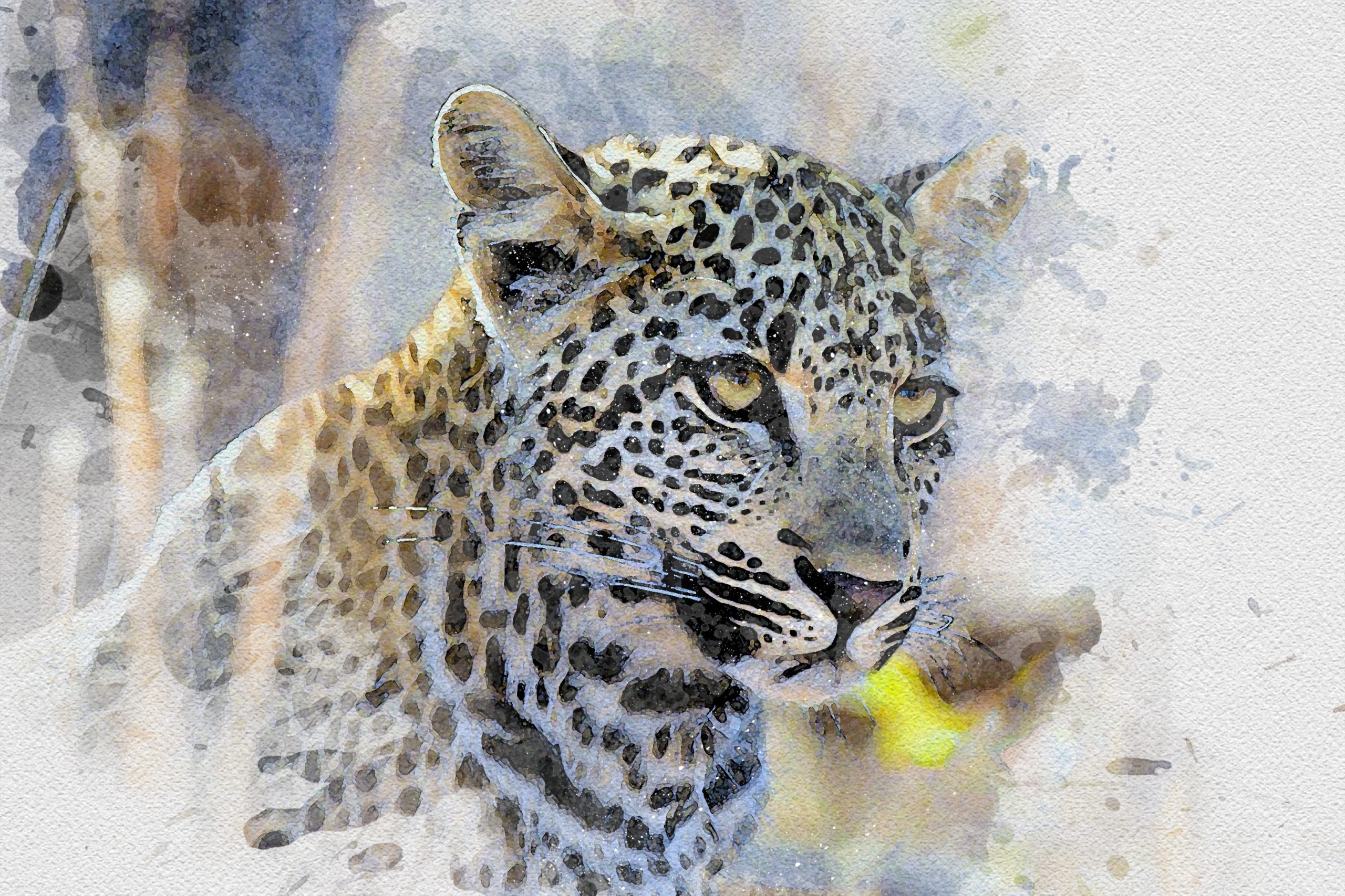 Arte del Estampado de Leopardo