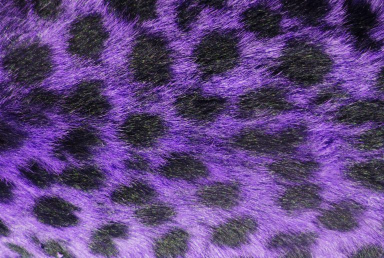 Preserva la Elegancia Salvaje: Consejos Prácticos para el Cuidado de Prendas con Estampado de Leopardo
