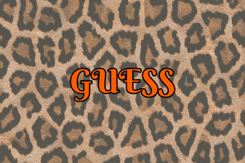 Guess