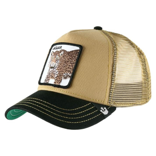 Gorra (2)